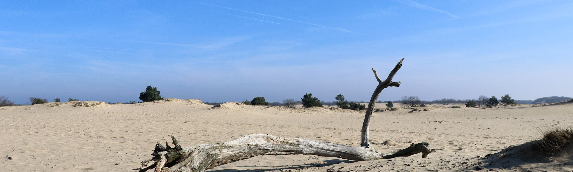 Nationaal Park De Loonse en Drunense Duinen