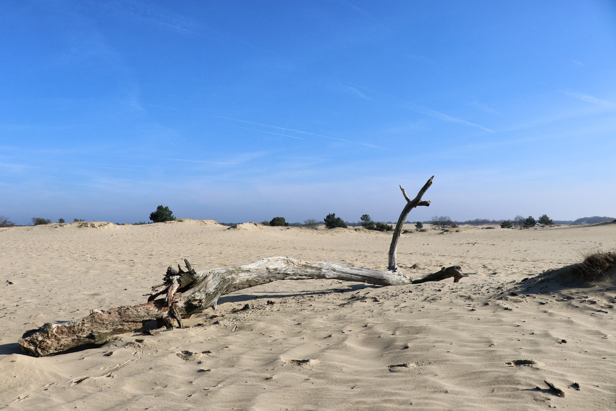 Nationaal Park De Loonse en Drunense Duinen