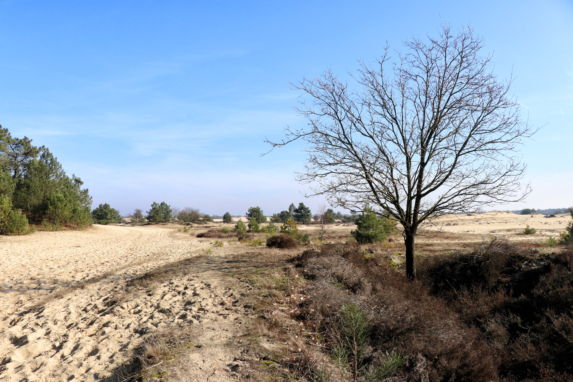 Nationaal Park De Loonse en Drunense Duinen