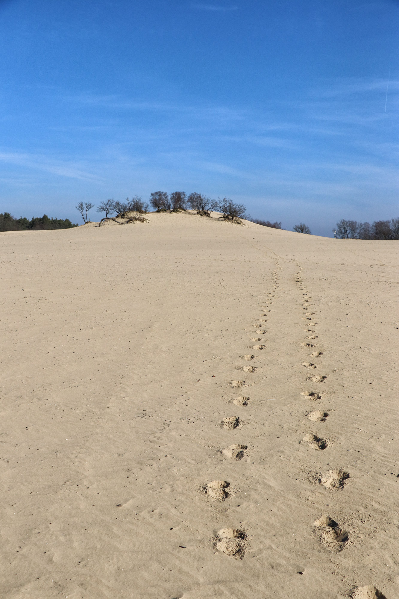 Nationaal Park De Loonse en Drunense Duinen