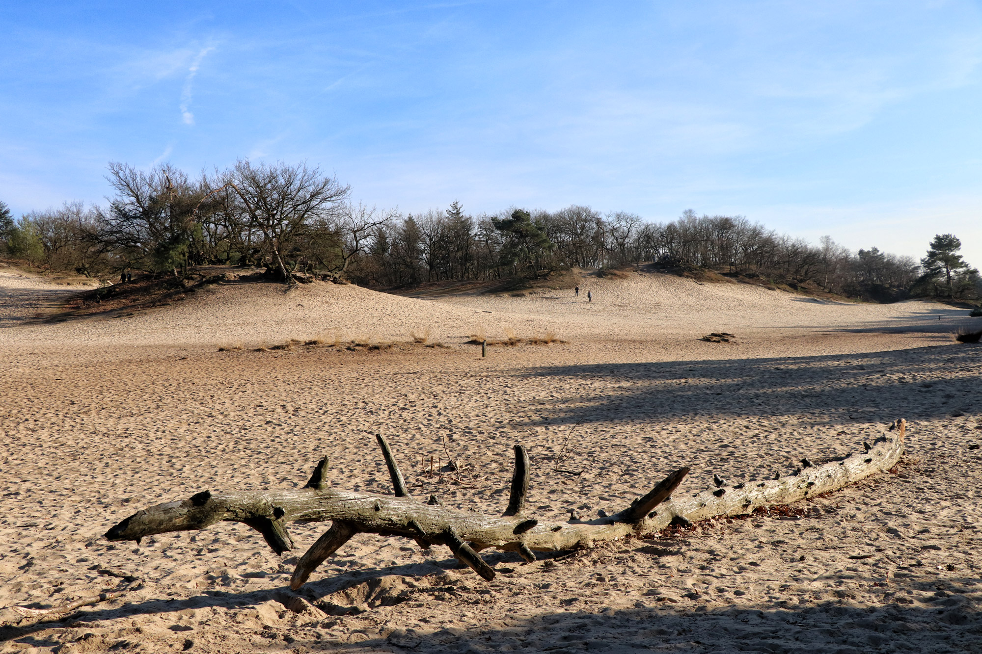 Nationaal Park De Loonse en Drunense Duinen