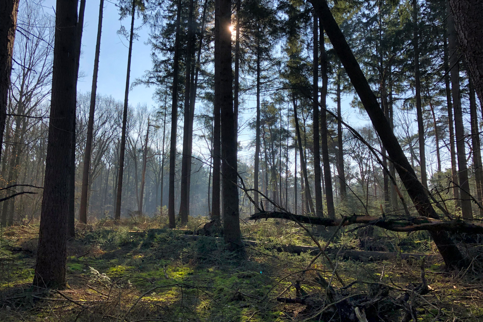 Nationaal Park De Loonse en Drunense Duinen