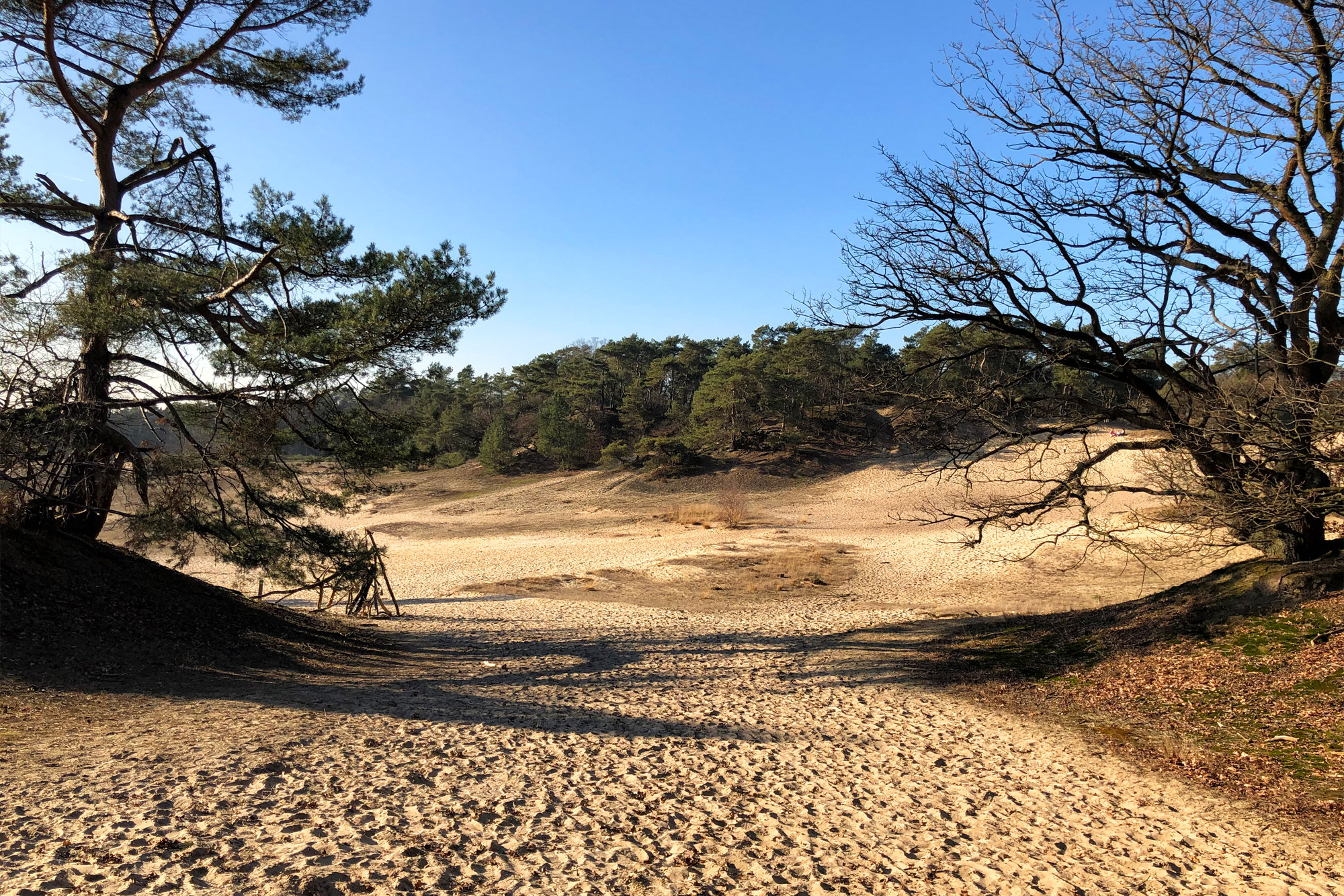 Nationaal Park De Loonse en Drunense Duinen