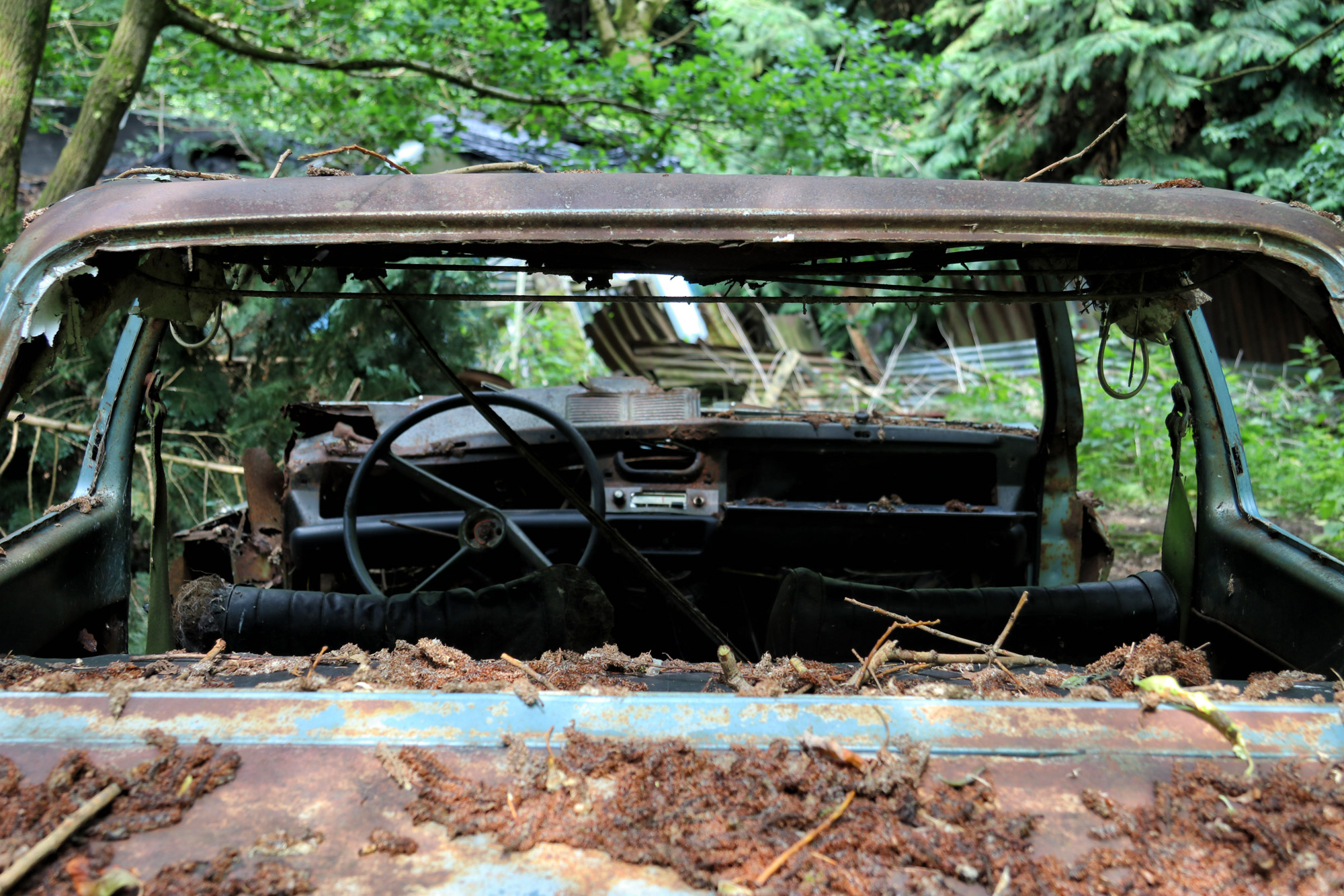 Urbex: Lost in the woods