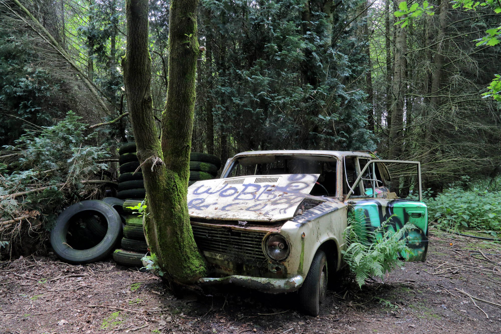 Urbex: Lost in the woods