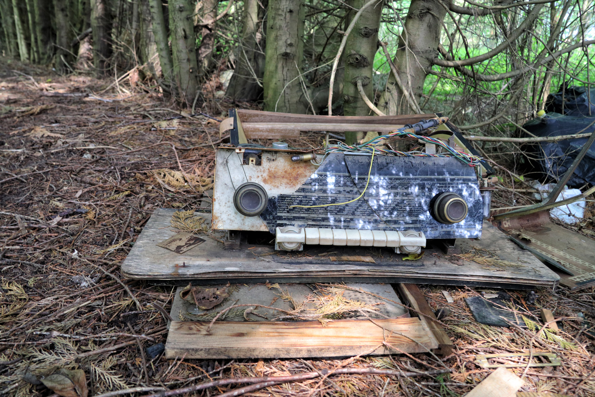 Urbex: Lost in the woods