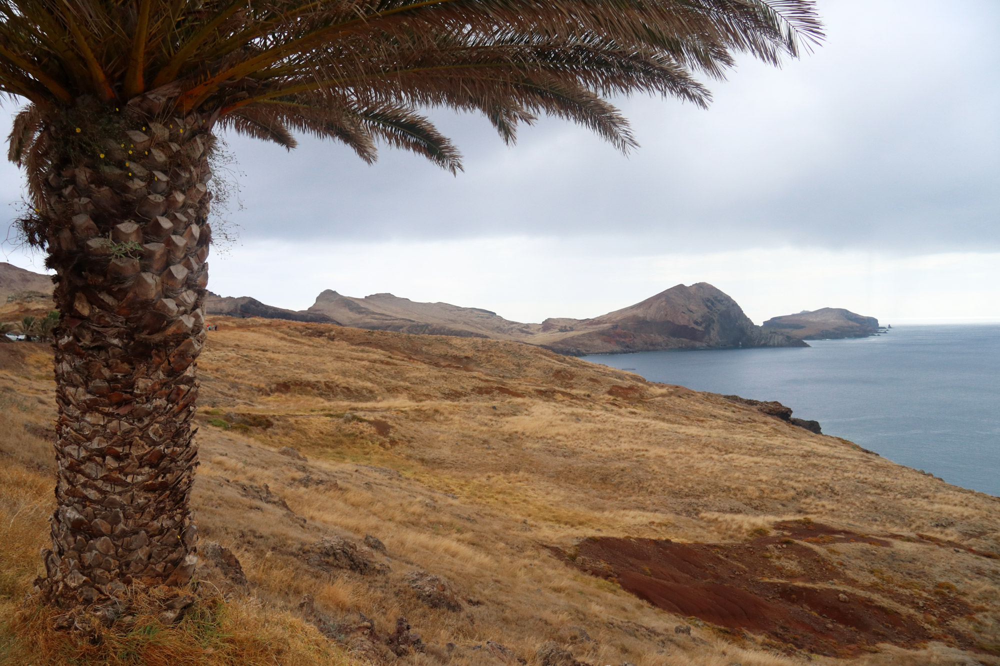 Wandeling: Ponta de São Lourenço op Madeira