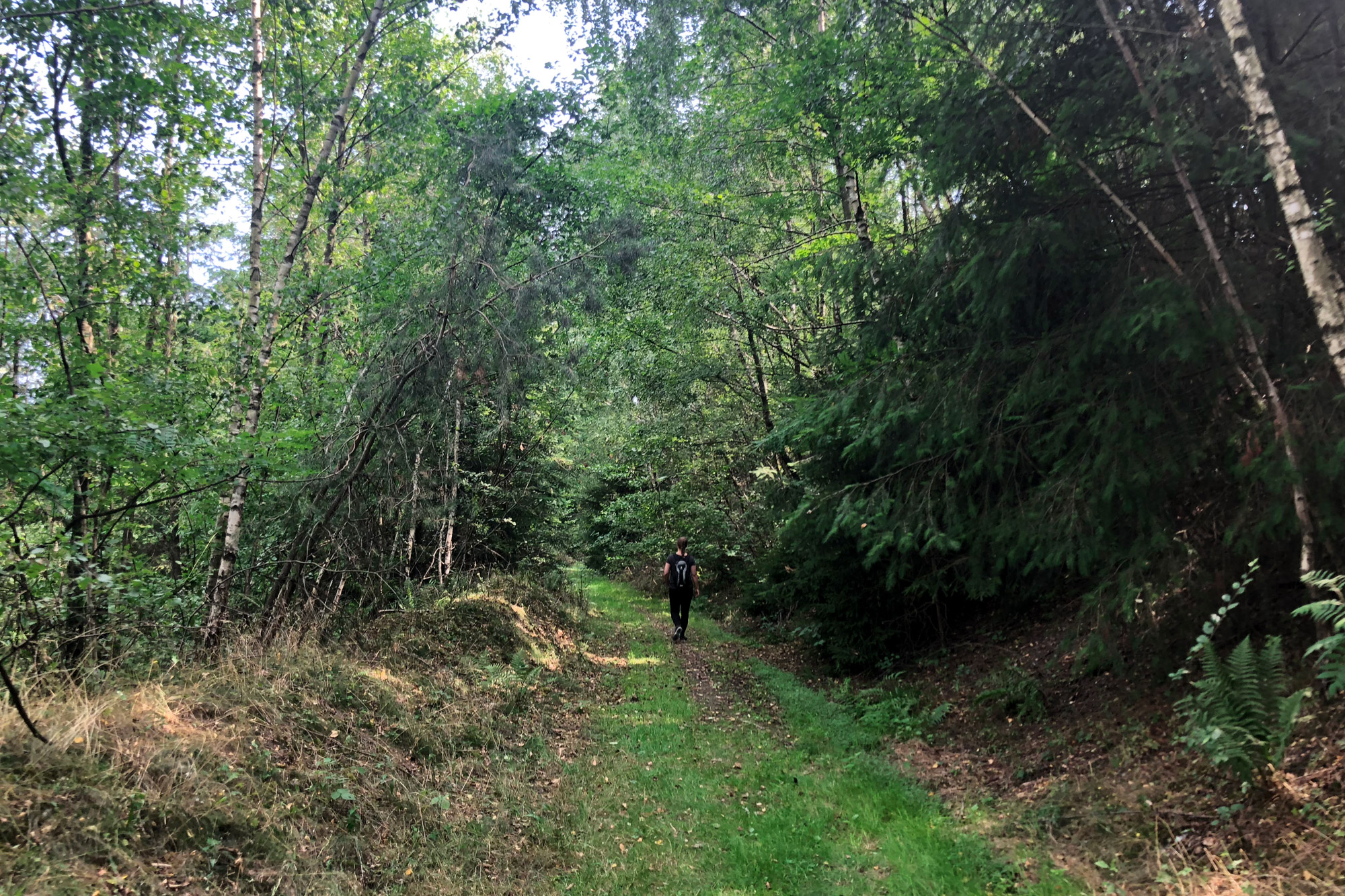 Wandeling: Rundwanderweg Piesberg in Osnabrück