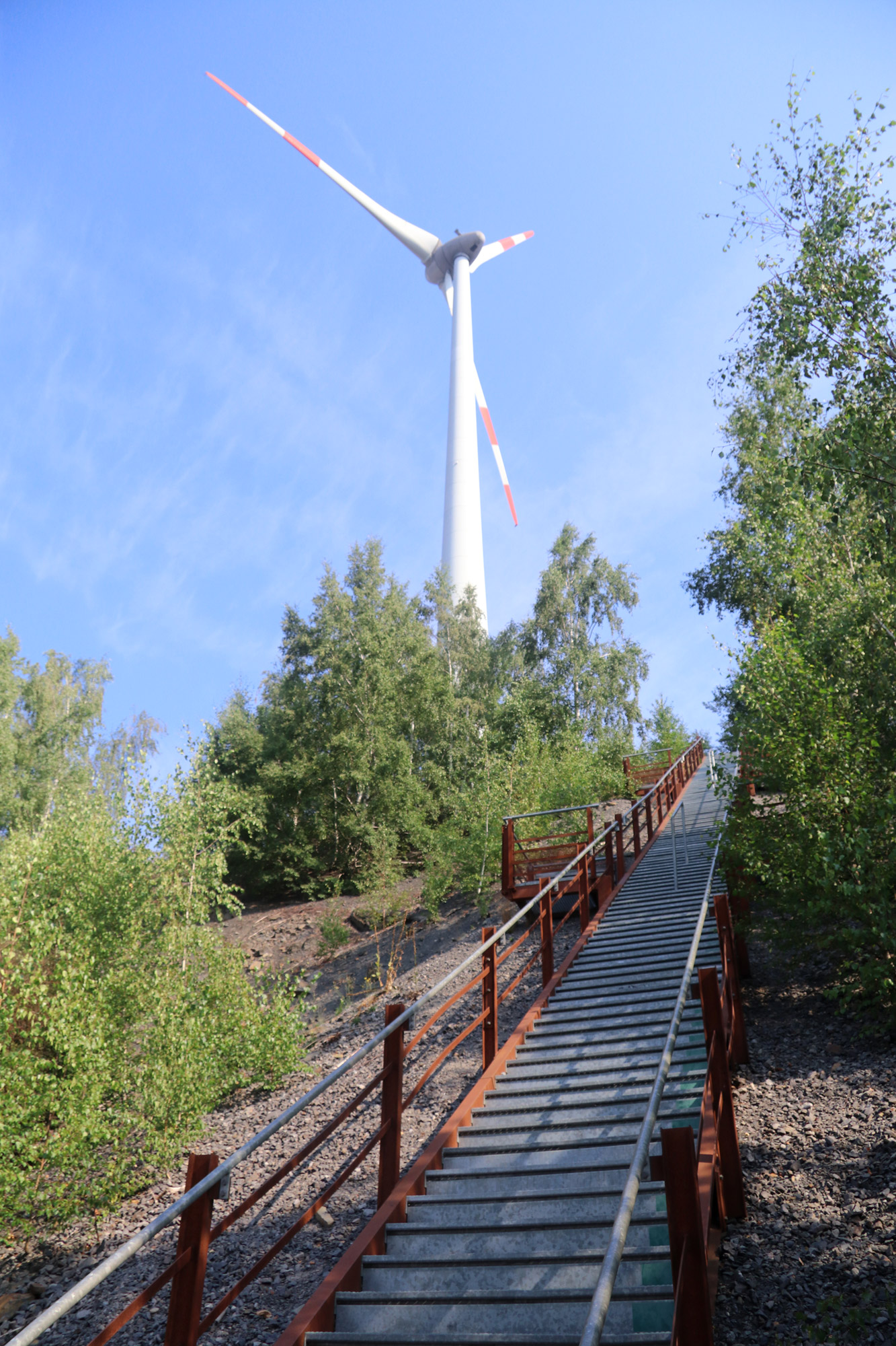 Wandeling: Rundwanderweg Piesberg in Osnabrück