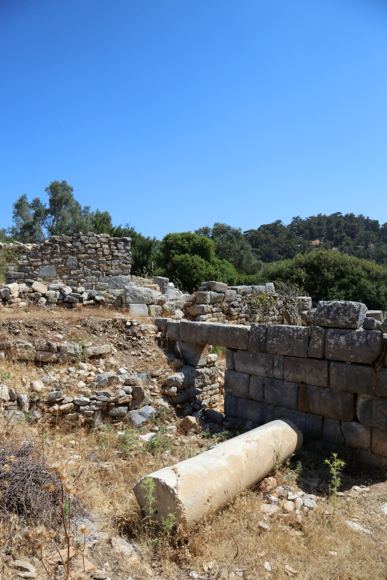 Wandelen door de antieke stad Pedasa - Turkije