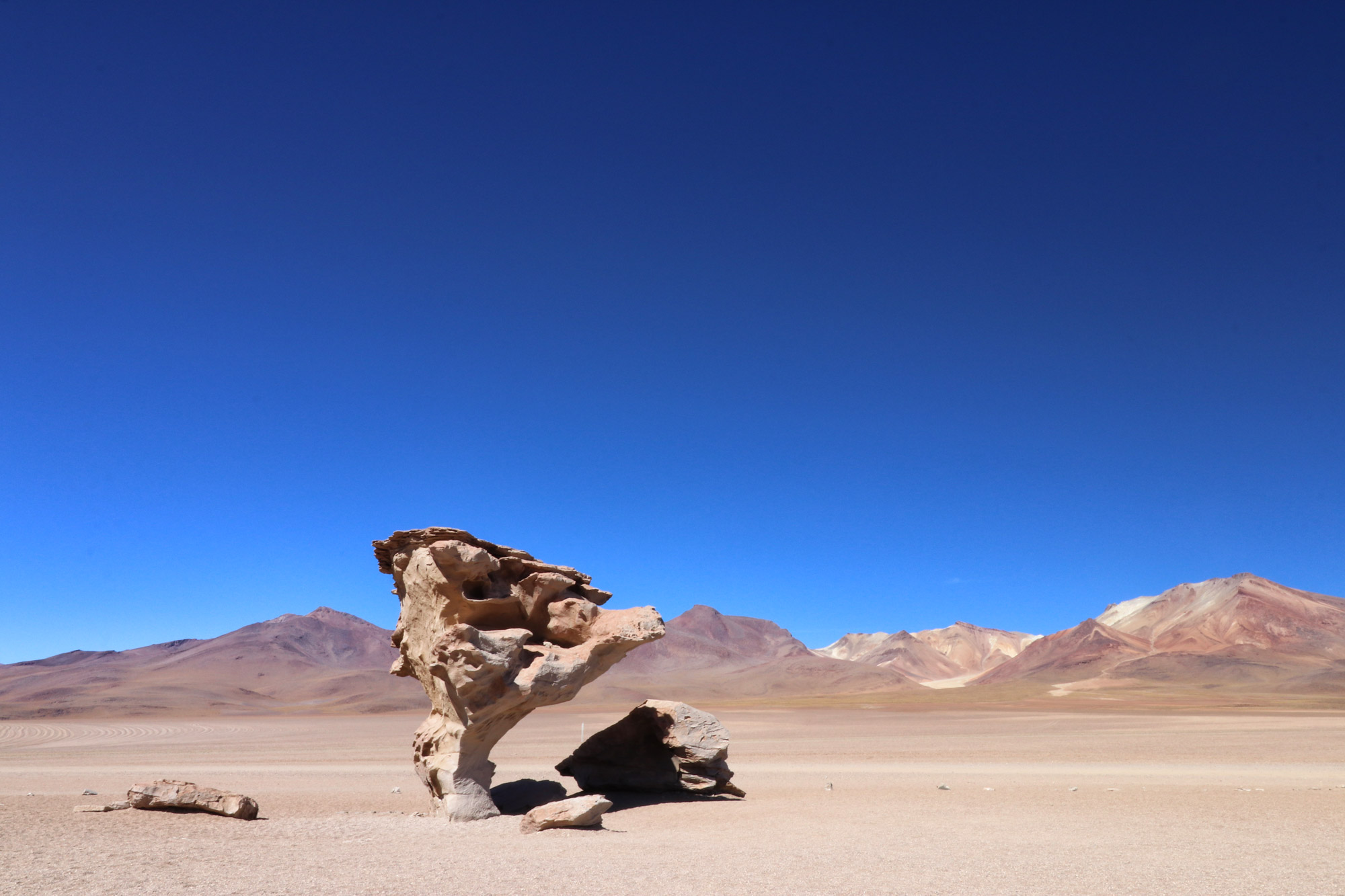 Bolivia in 20 beelden - Árbol de Piedra