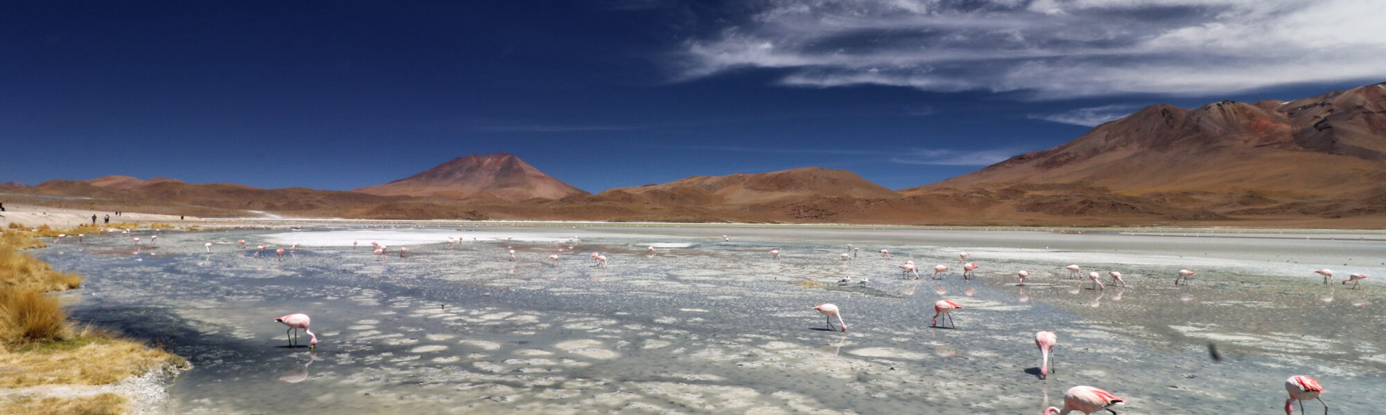 Bolivia in 20 beelden - Laguna Charcota