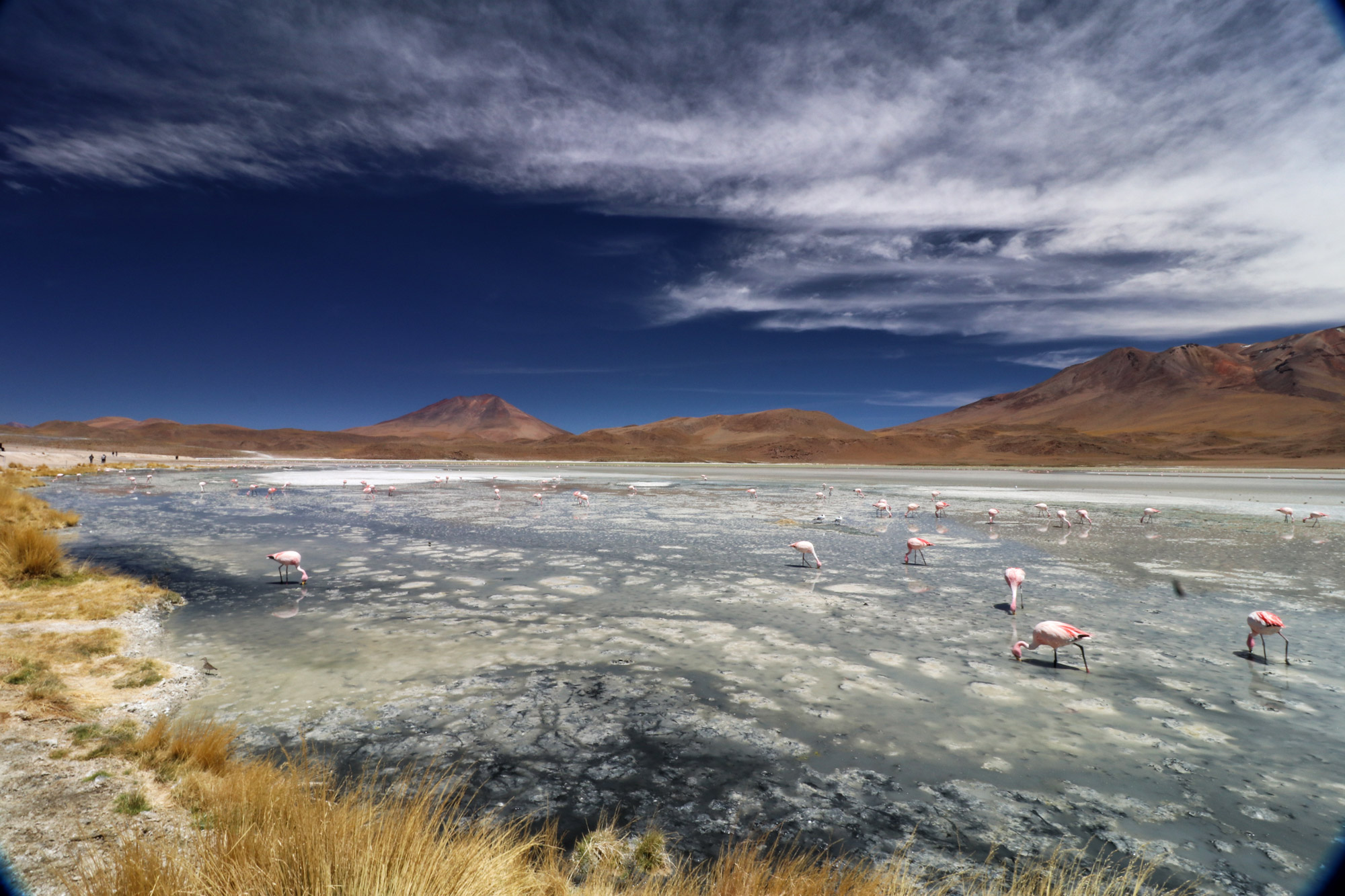 Bolivia in 20 beelden - Laguna Charcota