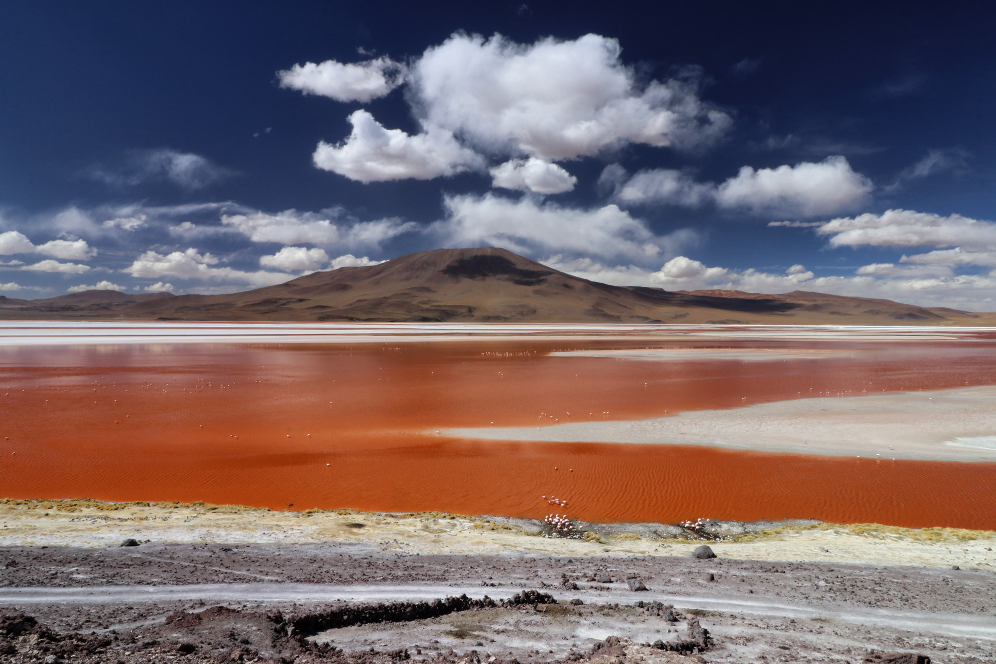 Bolivia in 20 beelden - Laguna Colorada