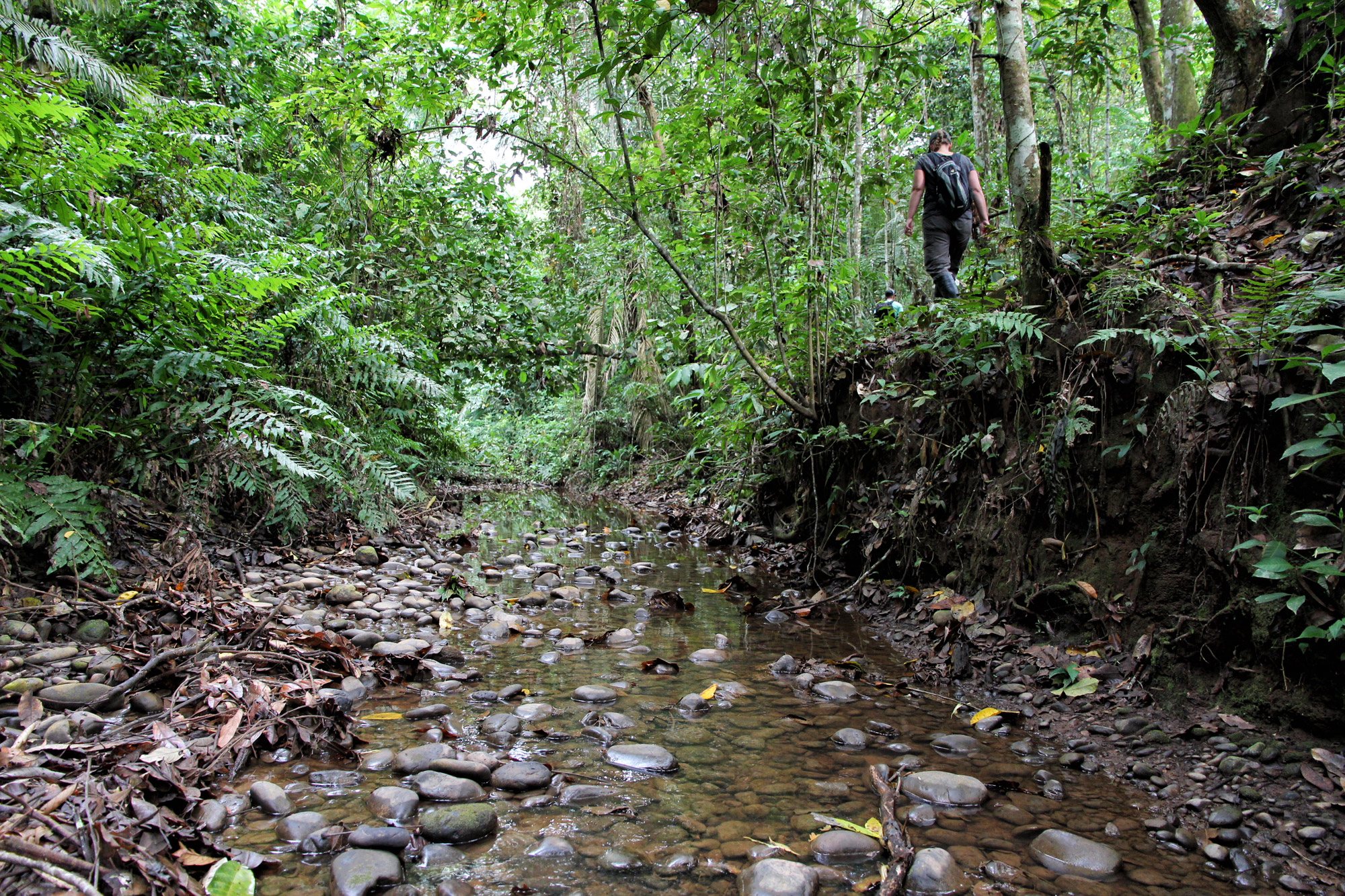 Bolivia in 20 beelden - Wandelen in Parque Nacional Madidi