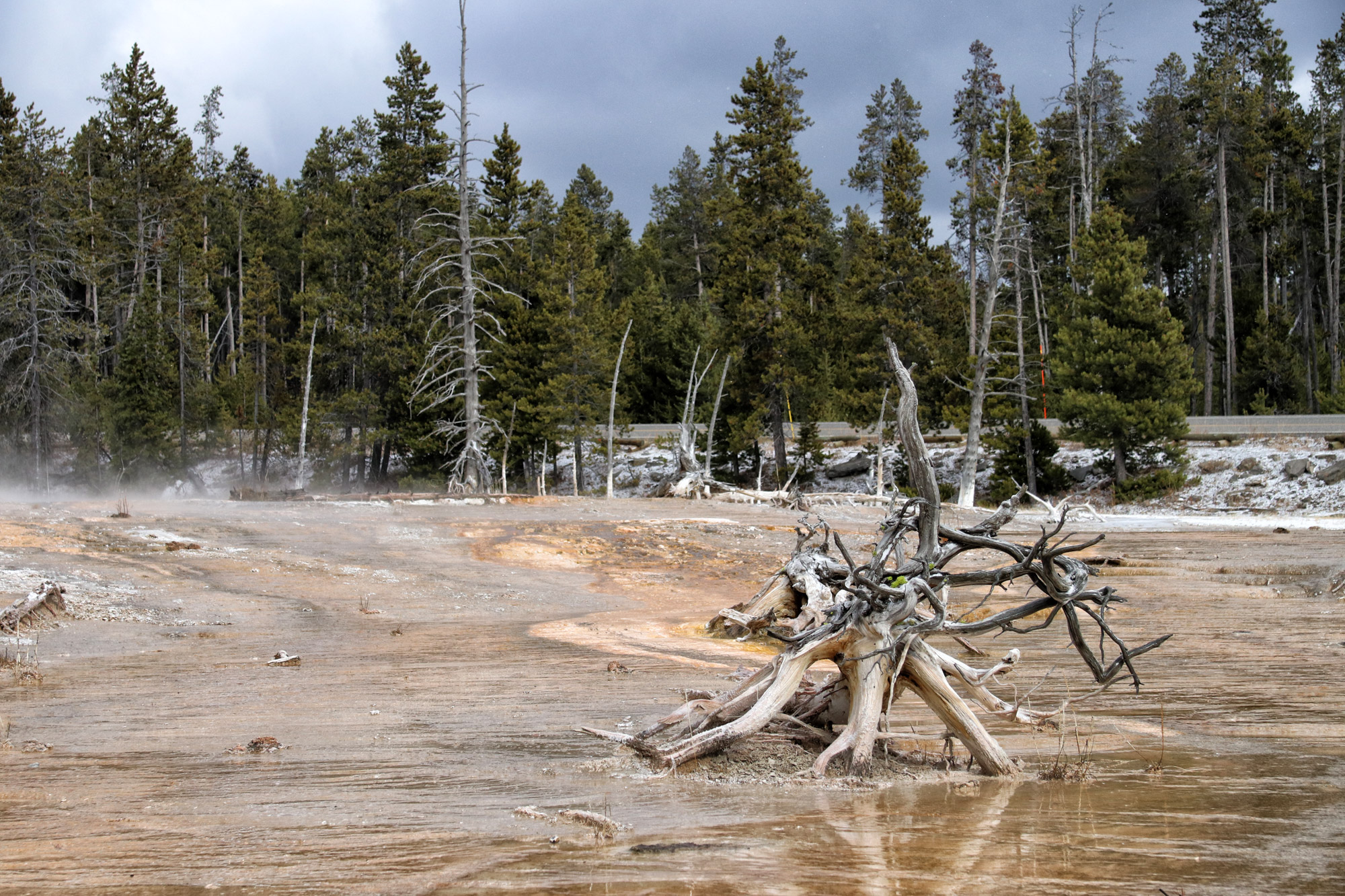 De hoogtepunten van Yellowstone National Park - Lower Geyser Basin