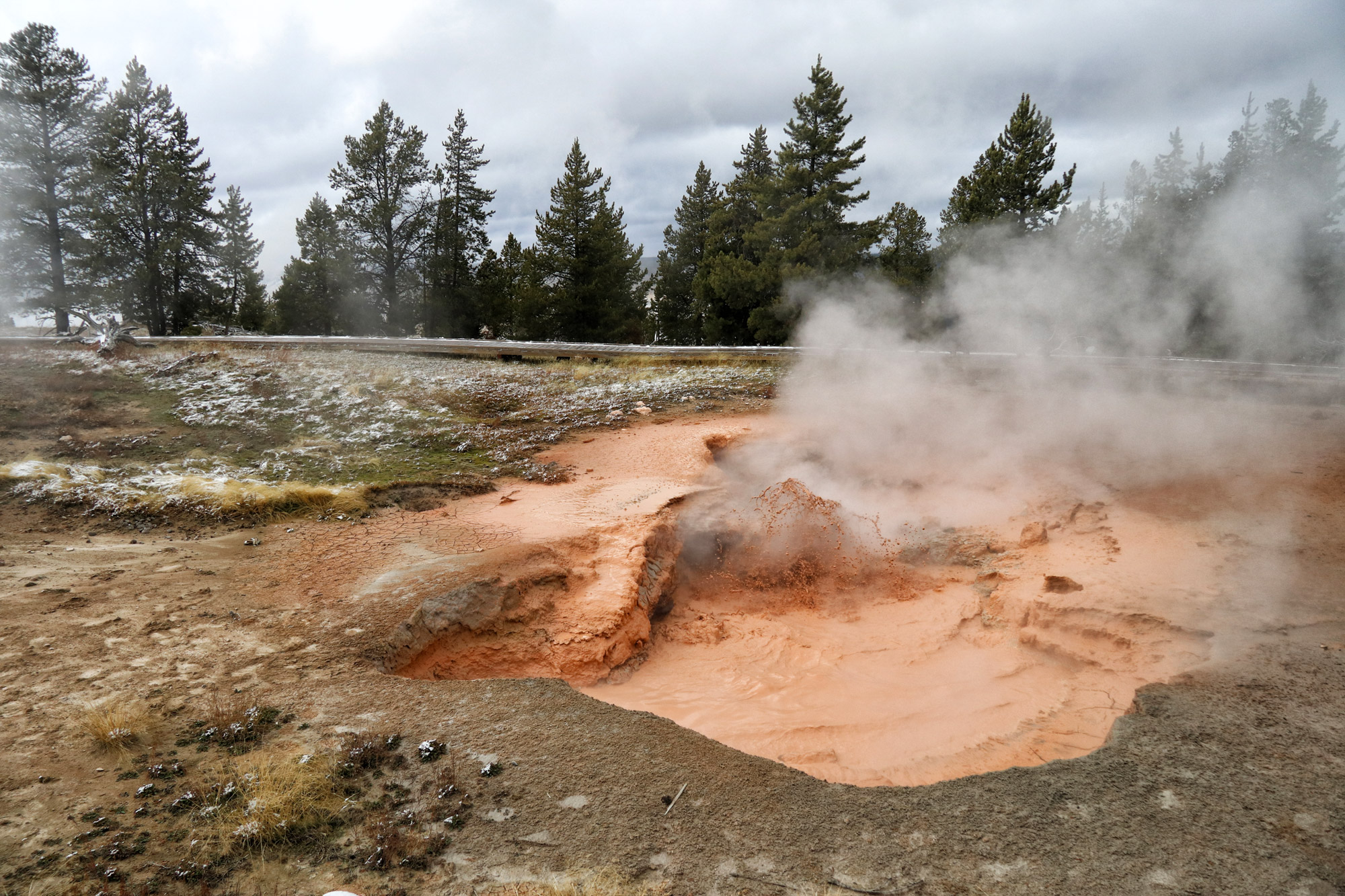 De hoogtepunten van Yellowstone National Park - Lower Geyser Basin