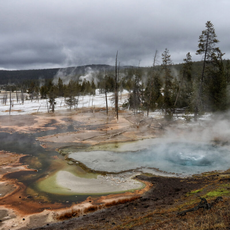 De hoogtepunten van Yellowstone National Park - Lower Geyser Basin