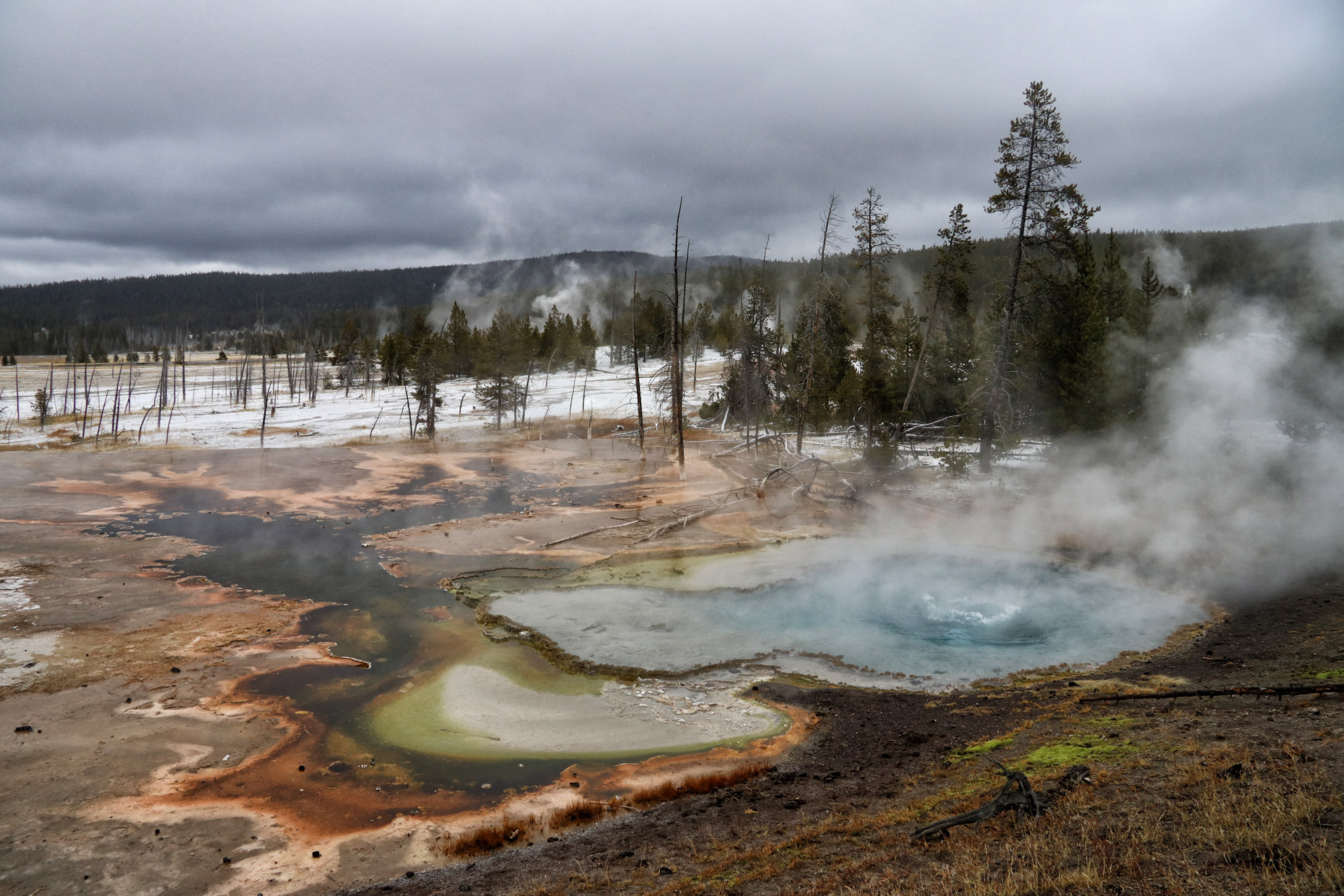 De hoogtepunten van Yellowstone National Park - Lower Geyser Basin