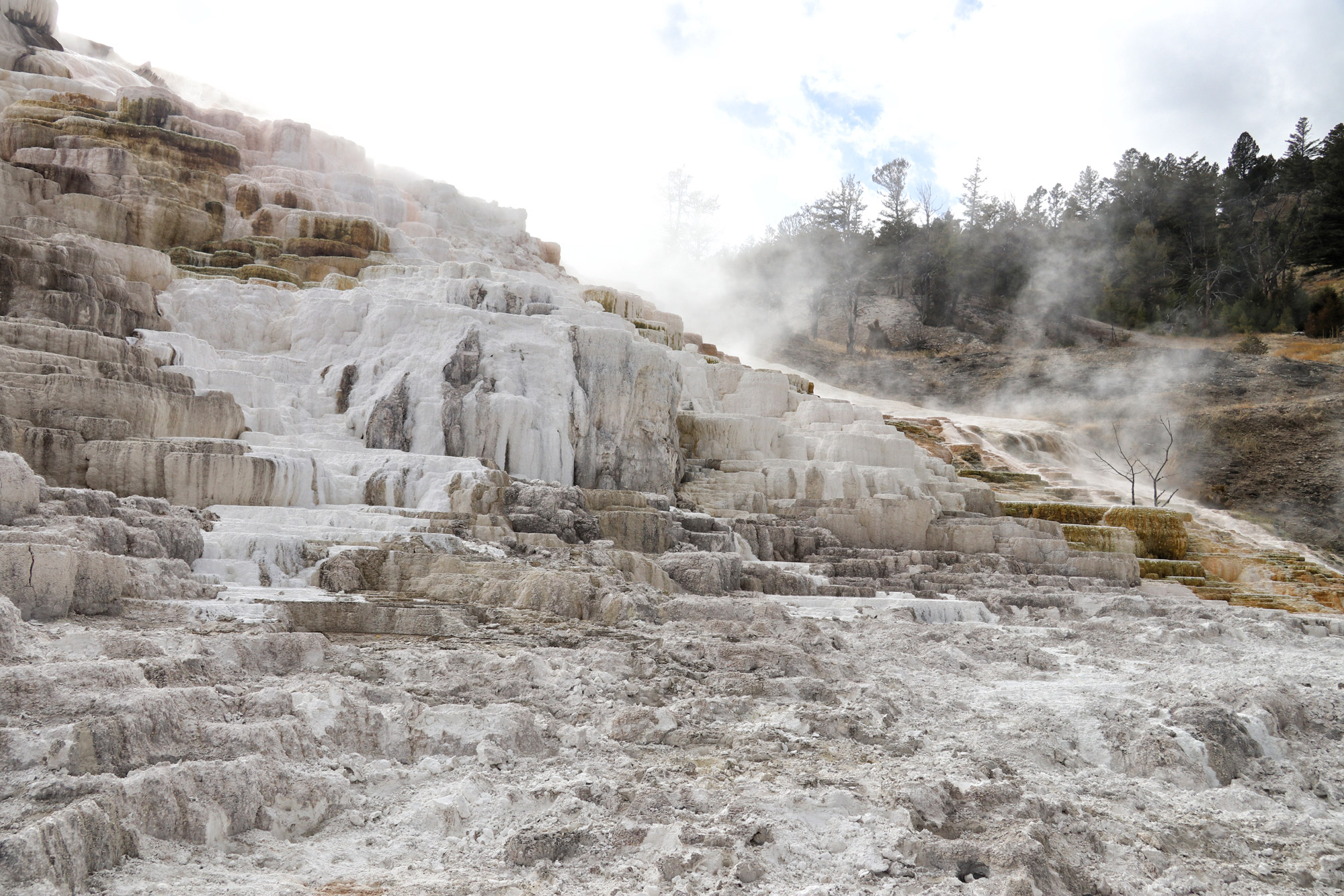 De hoogtepunten van Yellowstone National Park - Mammoth Hot Springs