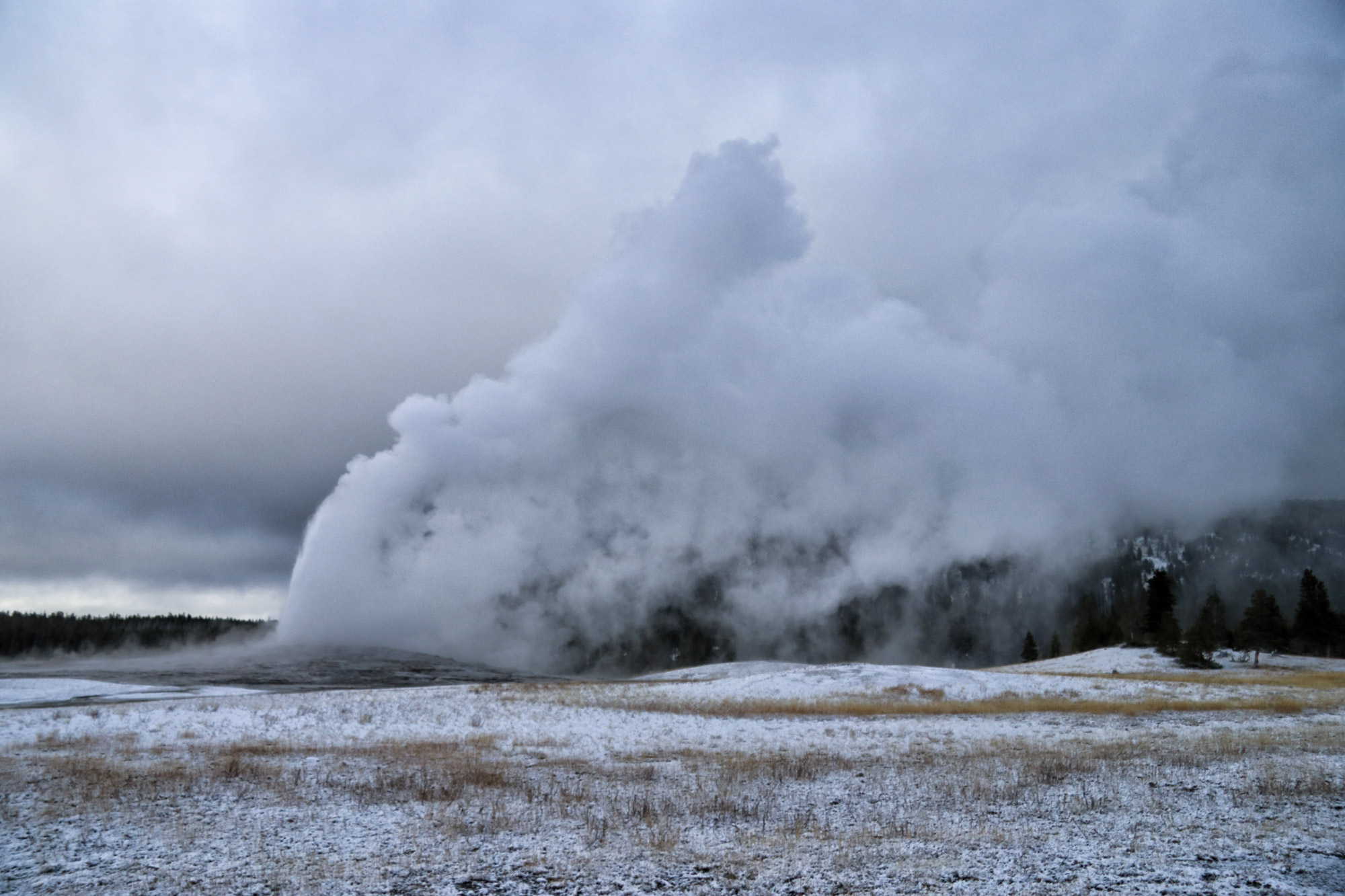 De hoogtepunten van Yellowstone National Park - Upper Geyser Basin