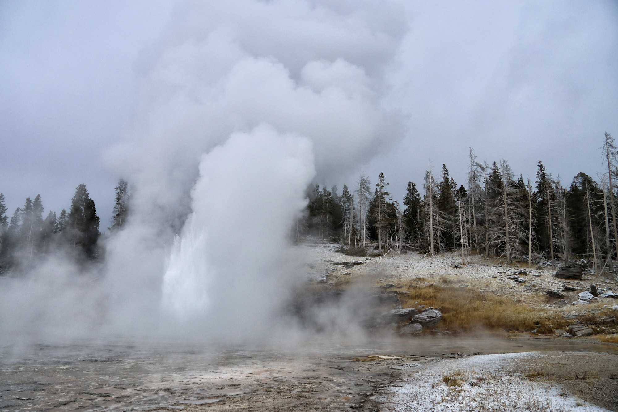 De hoogtepunten van Yellowstone National Park - Upper Geyser Basin