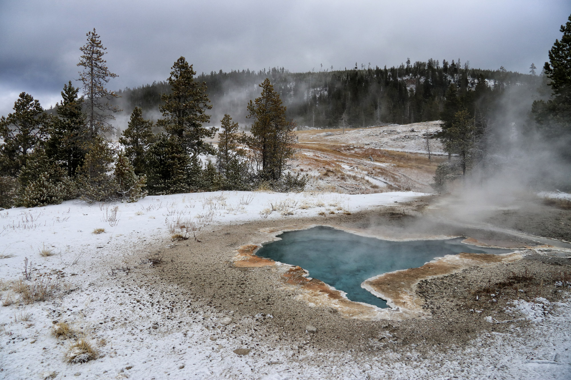 De hoogtepunten van Yellowstone National Park - Upper Geyser Basin