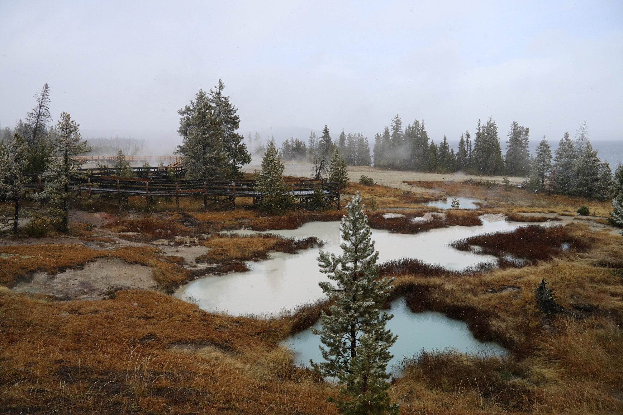 De hoogtepunten van Yellowstone National Park - West Thumb Geyser Basin