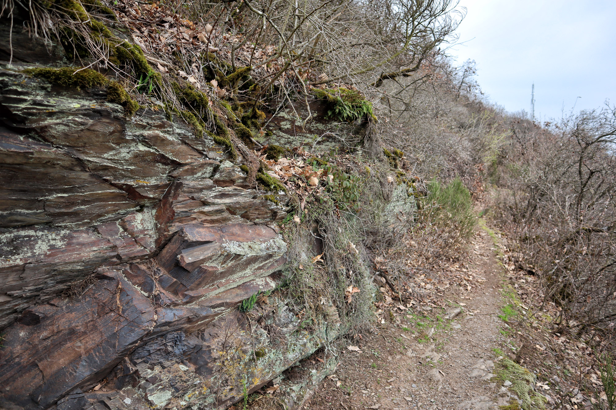 Wandeling: Seitensprung, de Cochemer Ritterrunde