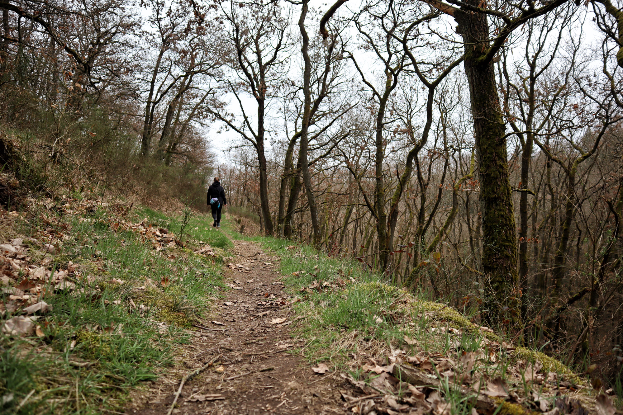 Wandeling: Seitensprung, de Cochemer Ritterrunde