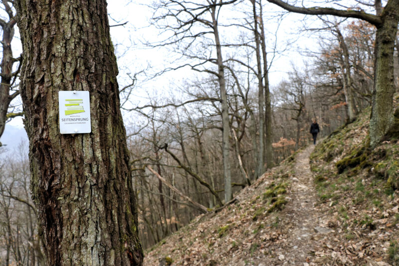 Wandeling: Seitensprung, de Cochemer Ritterrunde