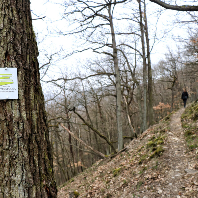 Wandeling: Seitensprung, de Cochemer Ritterrunde
