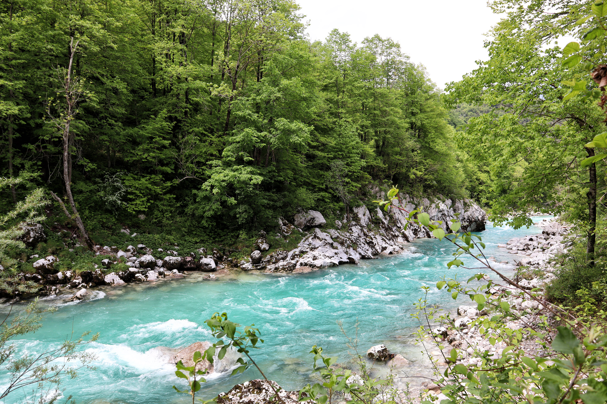 Soška pot wandeling in Slovenië - Soča rivier bij Kamp Koren