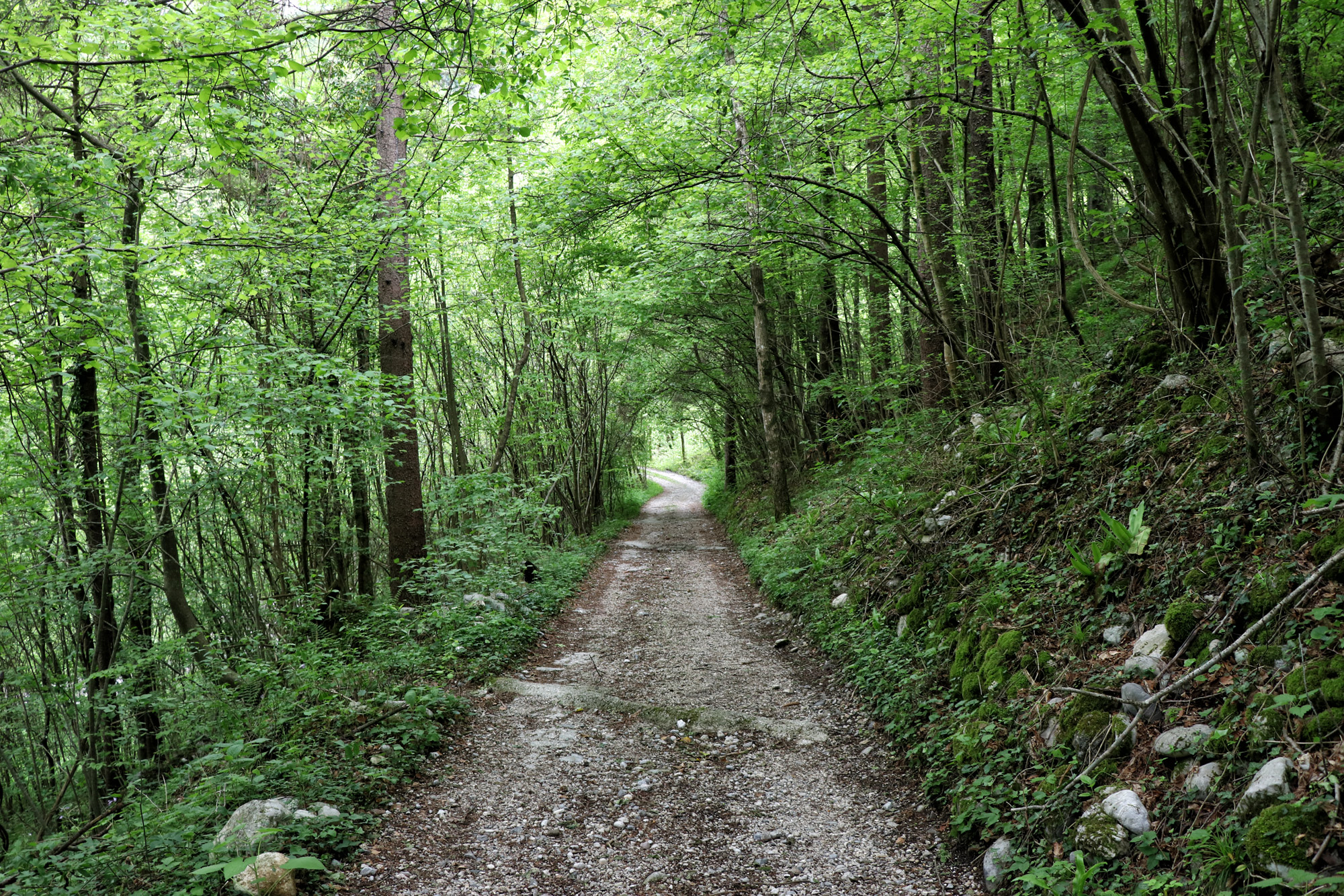 Soška pot wandeling in Slovenië - Startpunt bij Trnovo