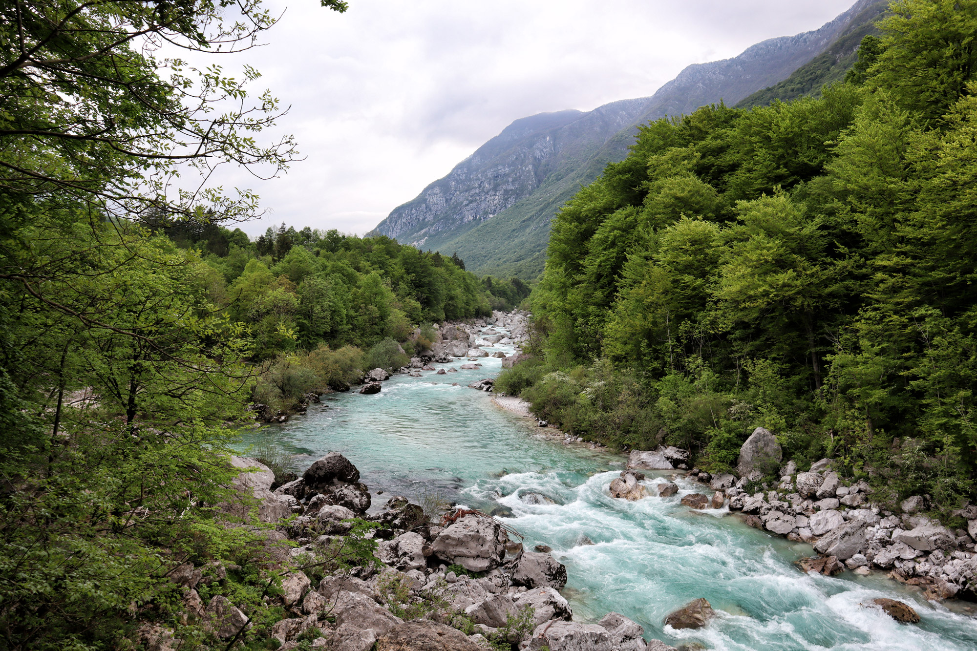 Soška pot wandeling in Slovenië - Soča rivier