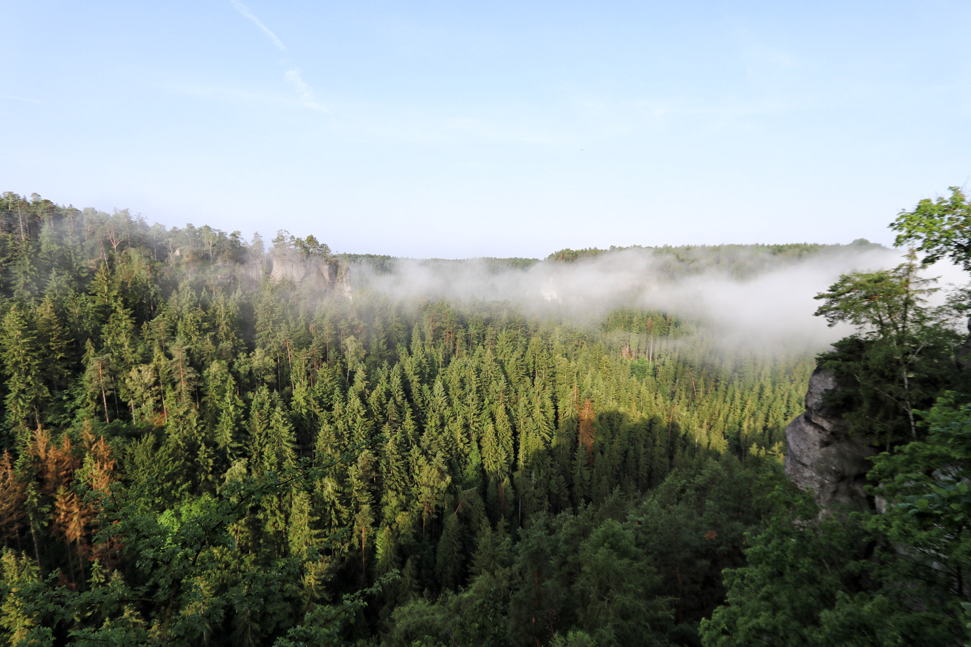 Burg Hohnstein