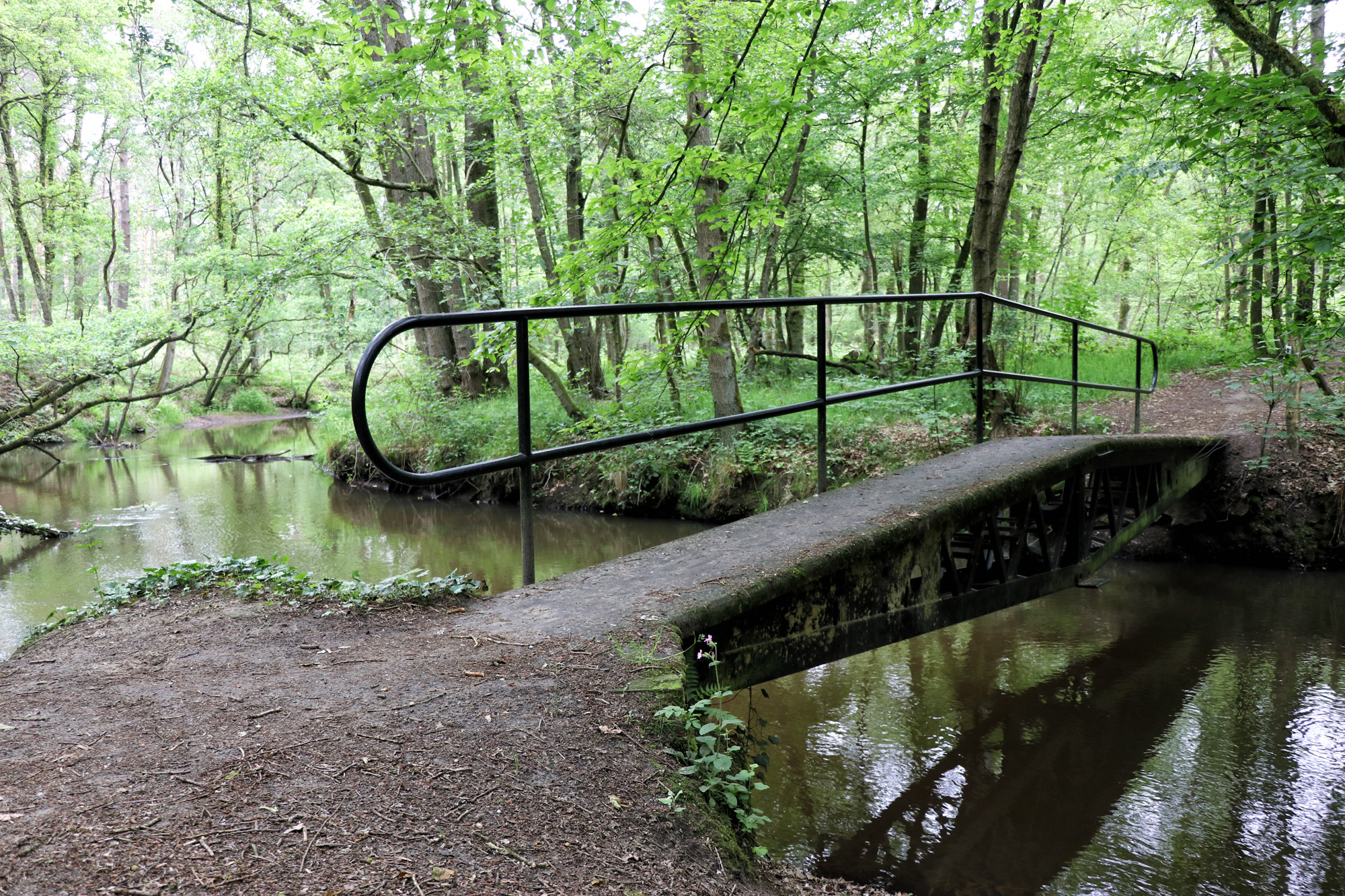 Wandeling: Het Leudal