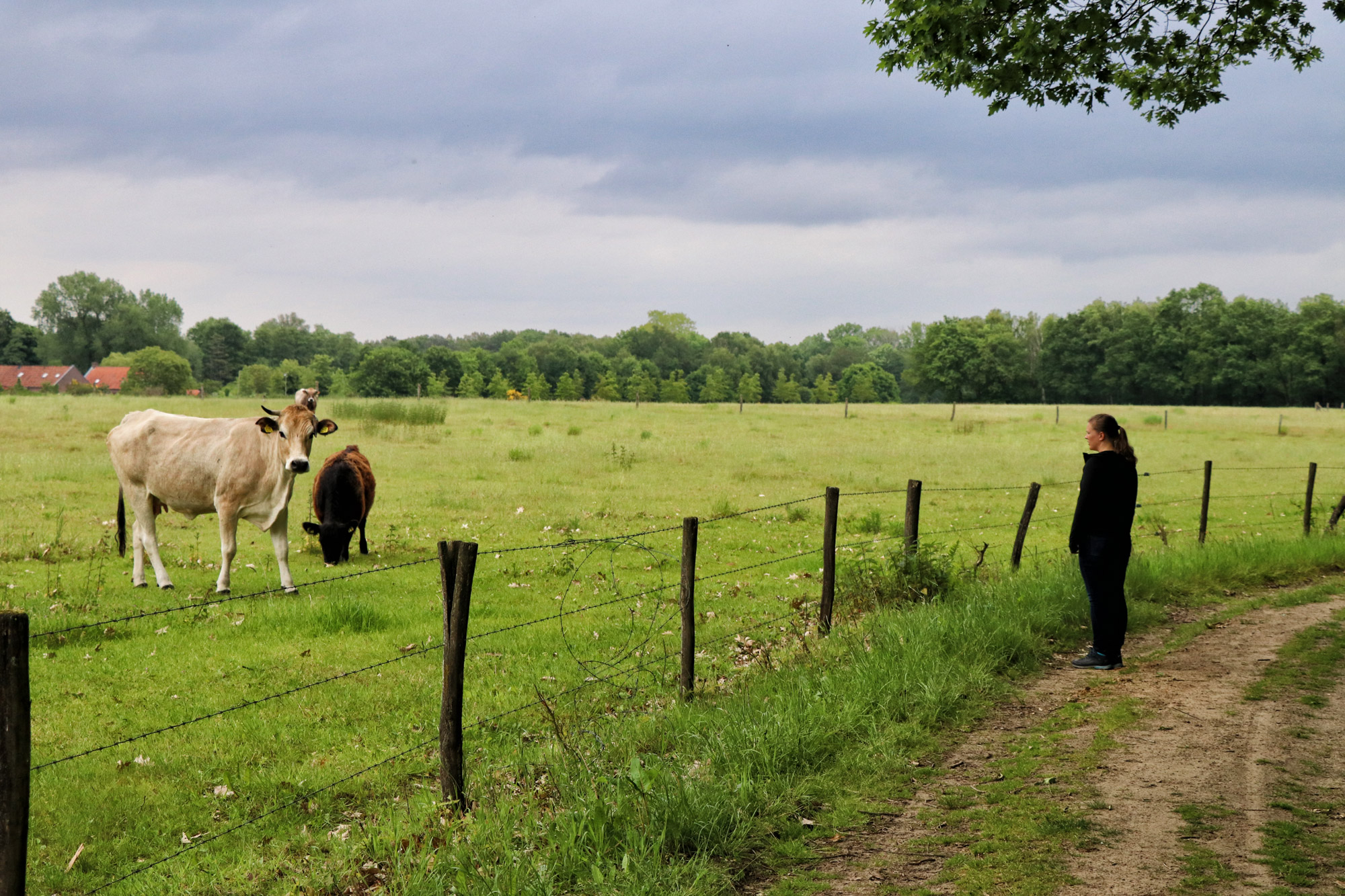 Wandeling: Het Leudal