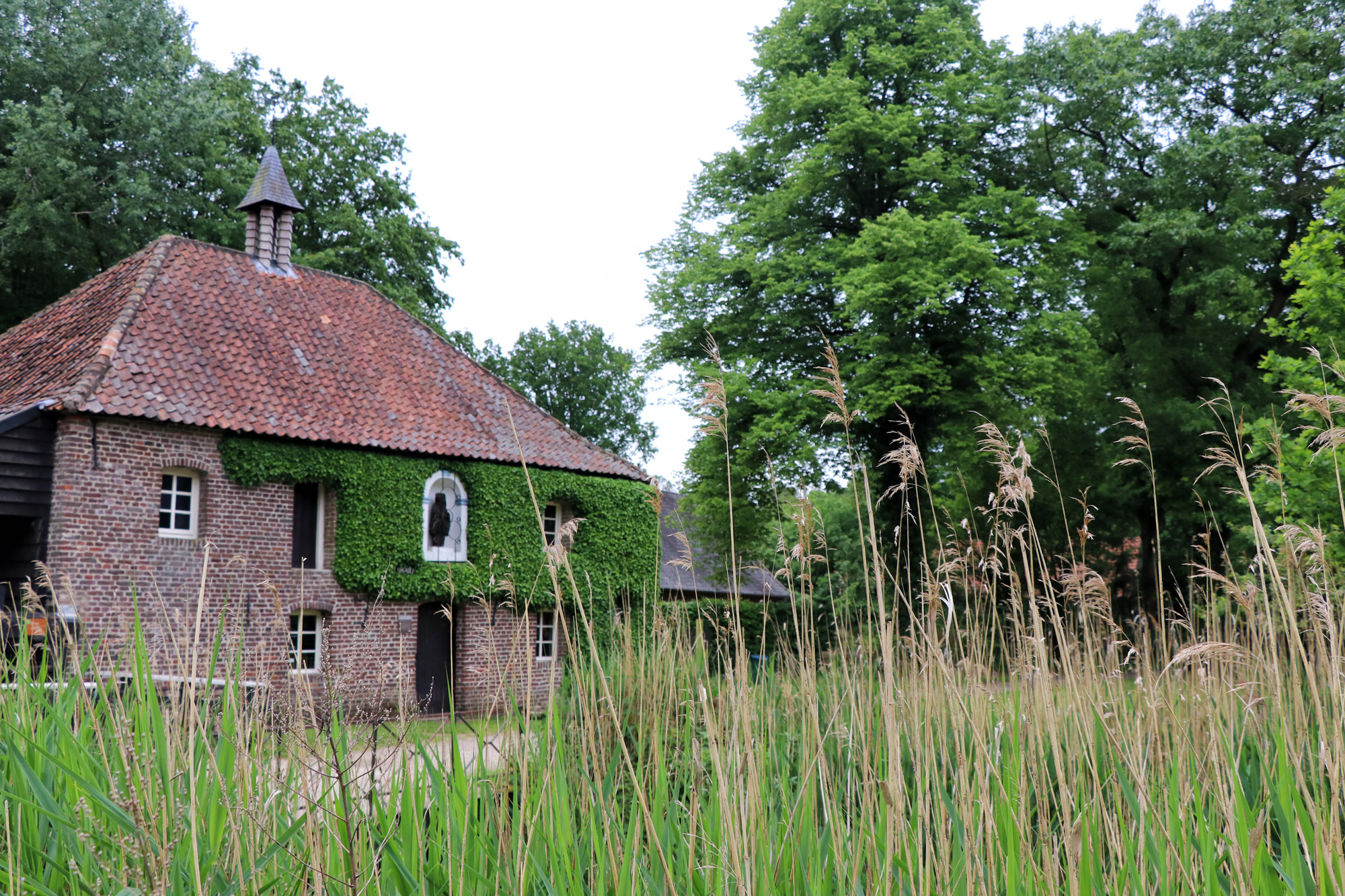 Wandeling: Het Leudal