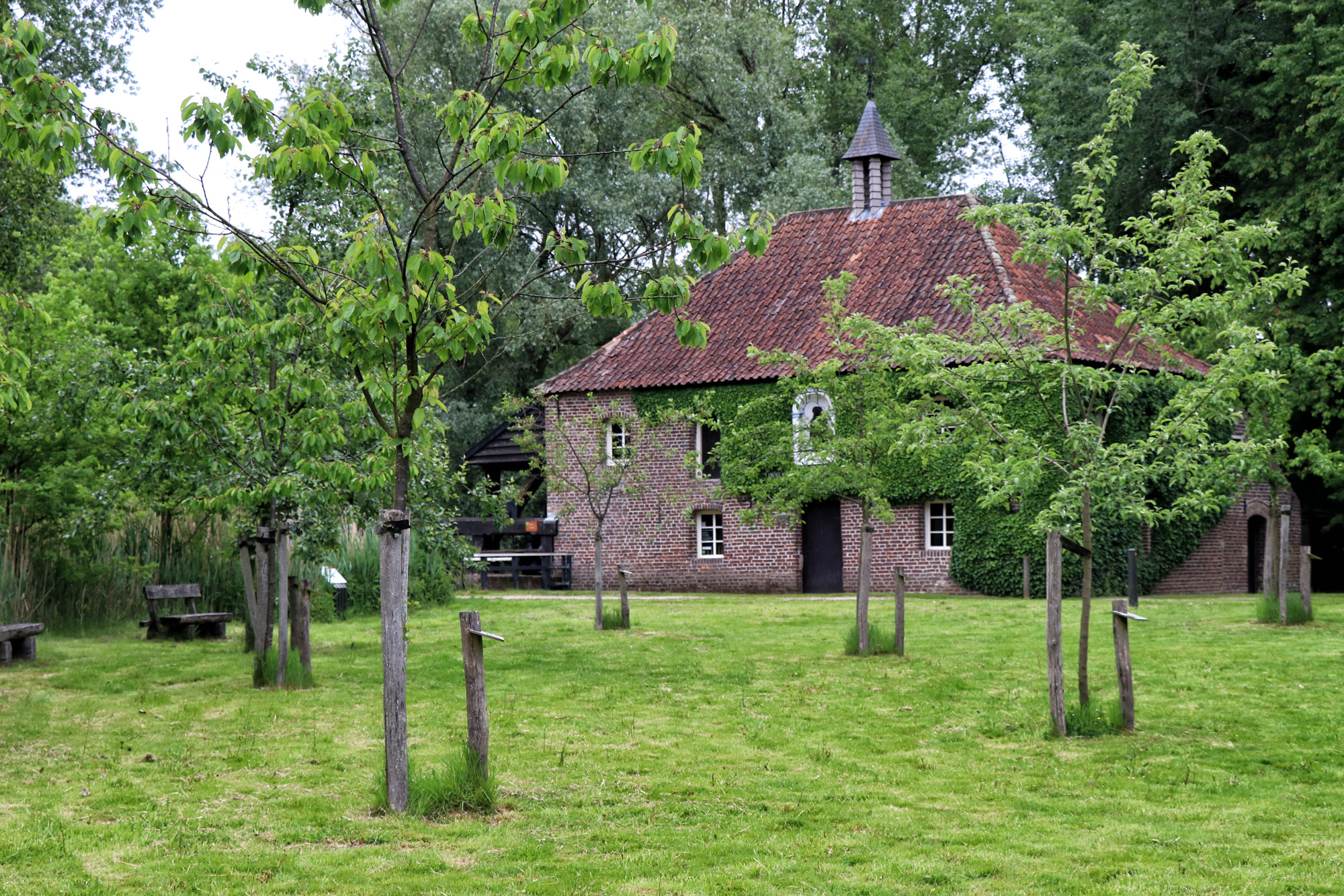 Wandeling: Het Leudal