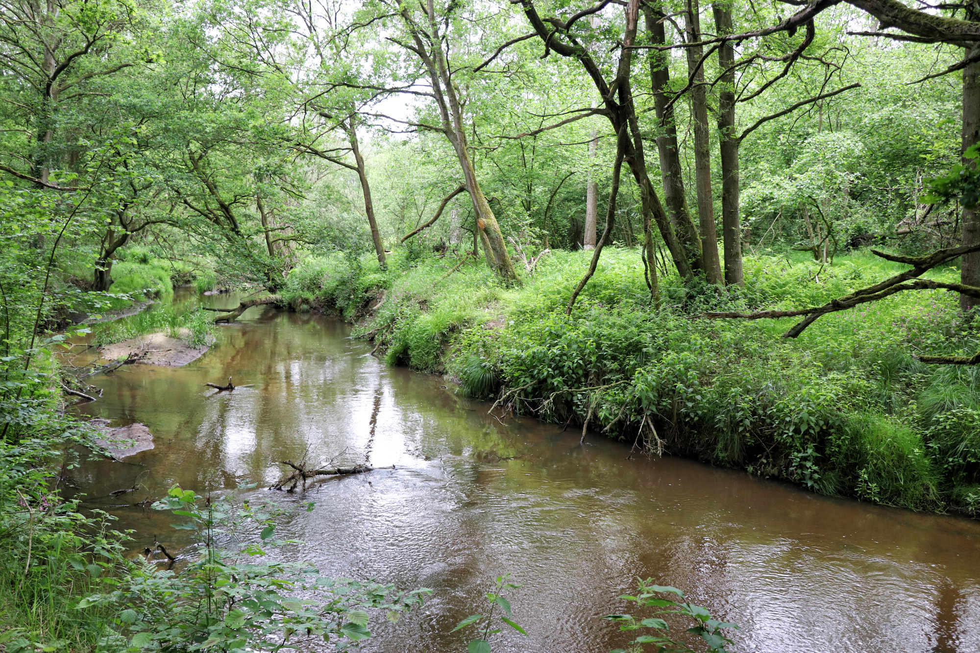 Wandeling: Het Leudal