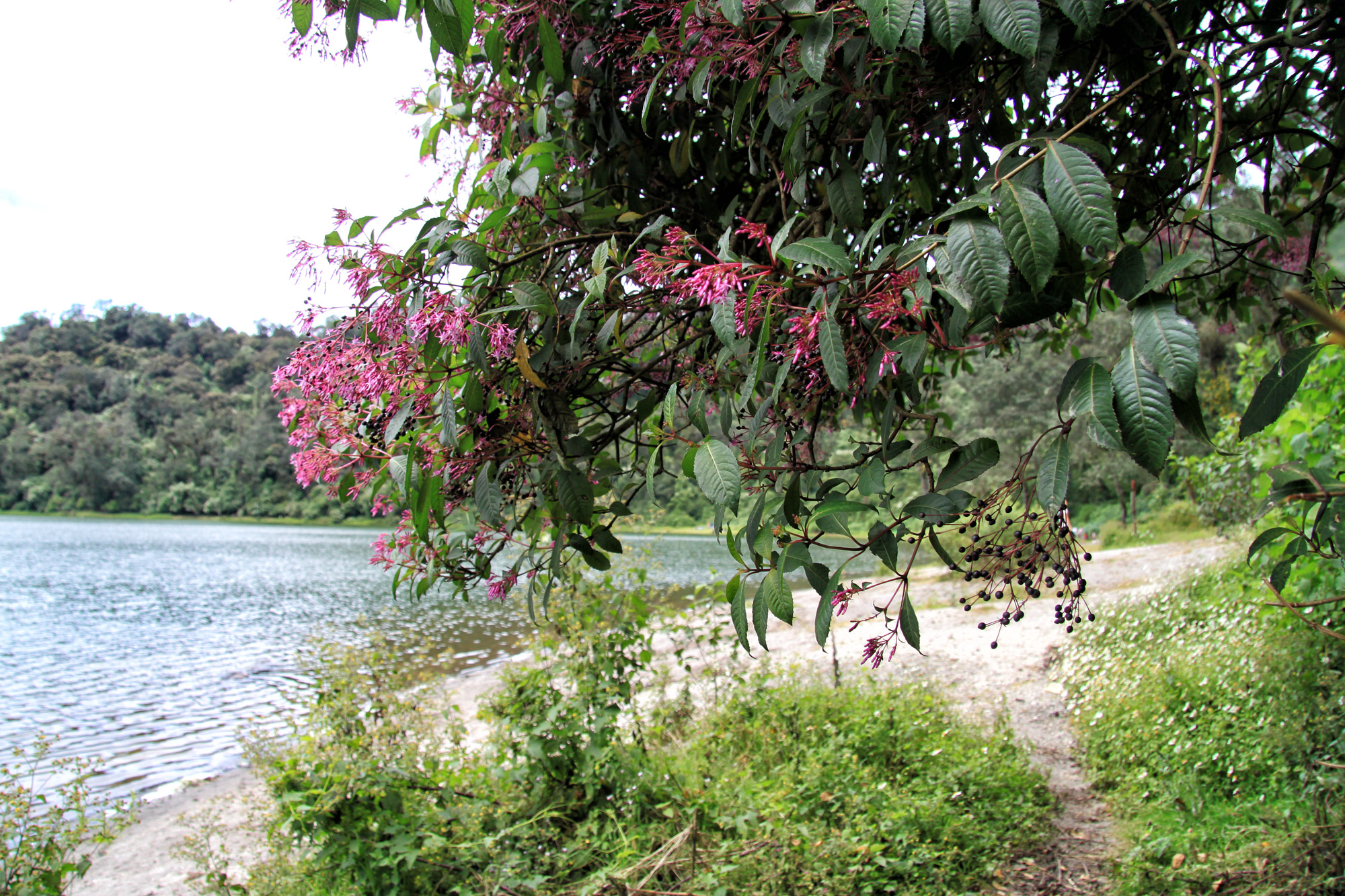 Laguna Chicabal bij Quetzaltenango - Guetamala