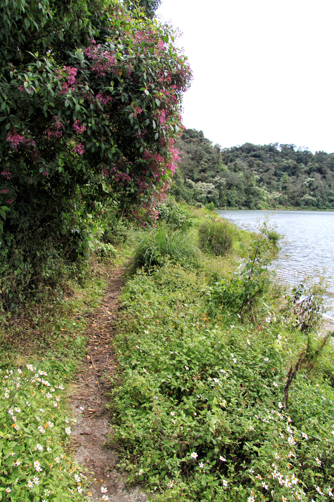 Laguna Chicabal bij Quetzaltenango - Guetamala