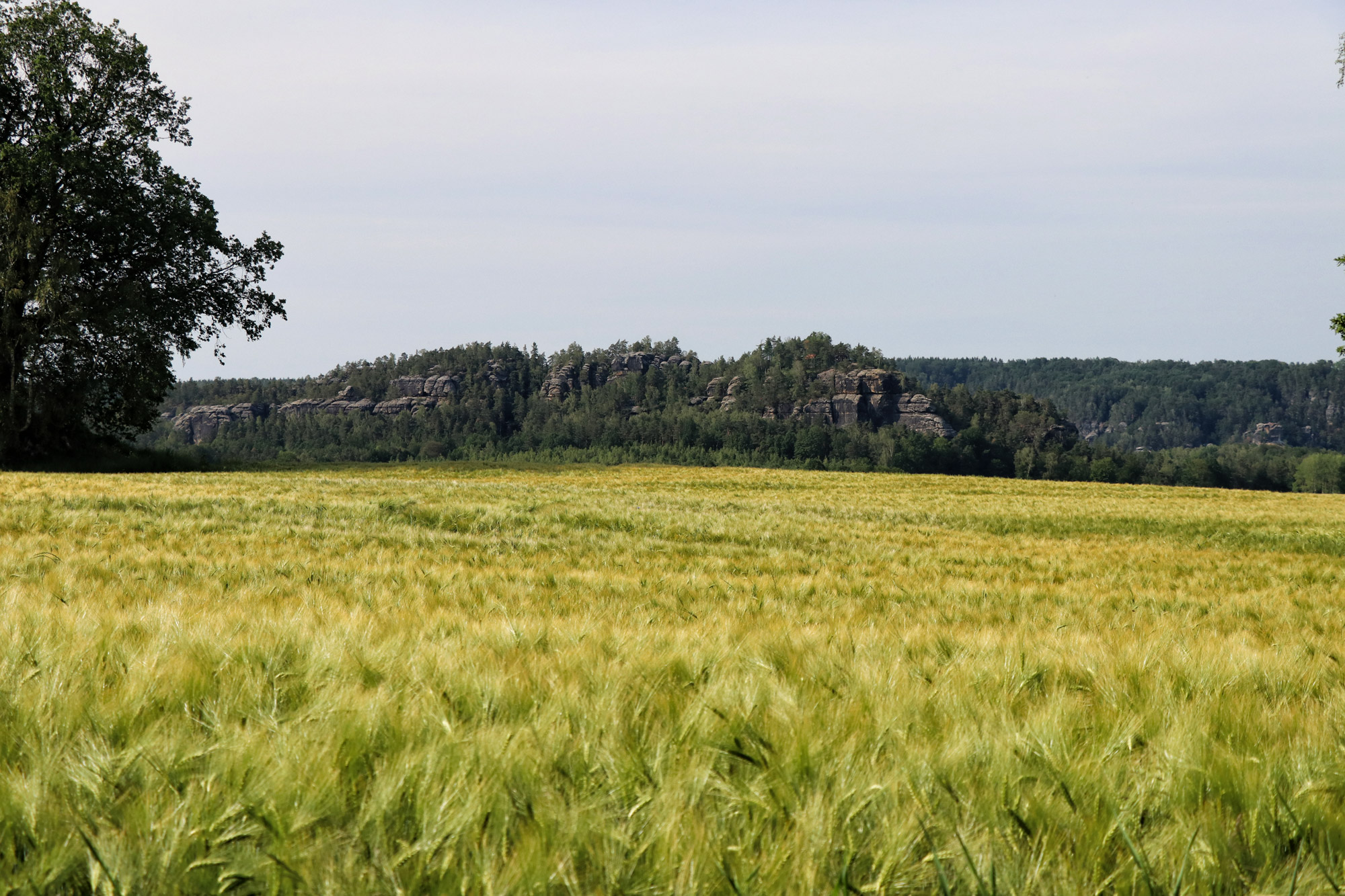 Malerweg Etappe 7 - Sächsische Schweiz