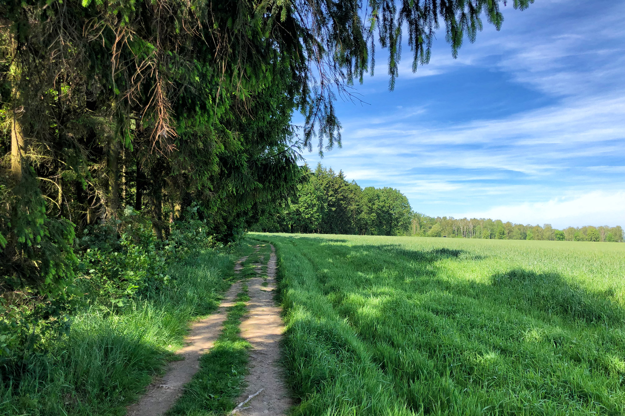 Malerweg Etappe 7 - Sächsische Schweiz