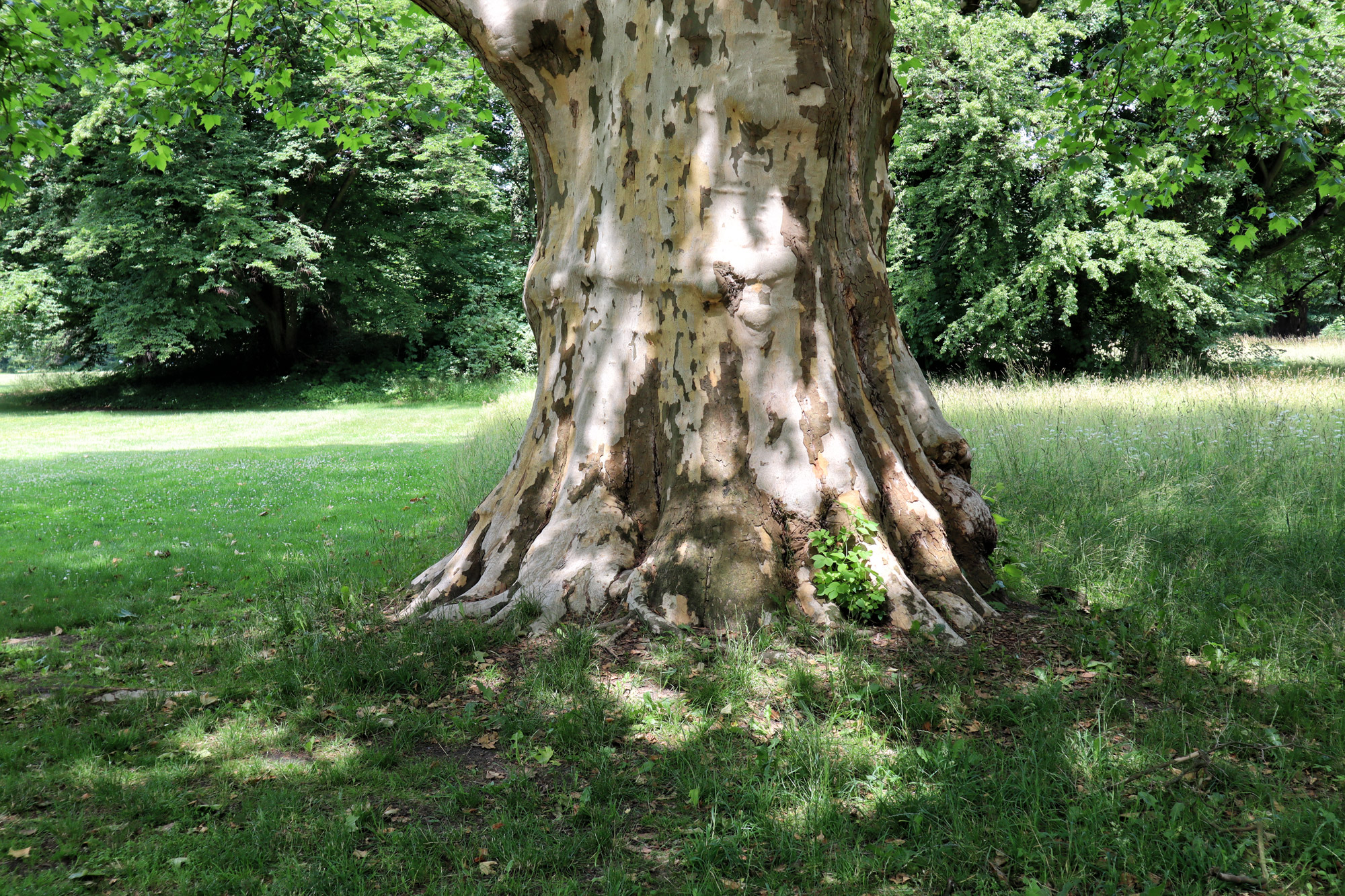 Muskauer Park - Duitsland