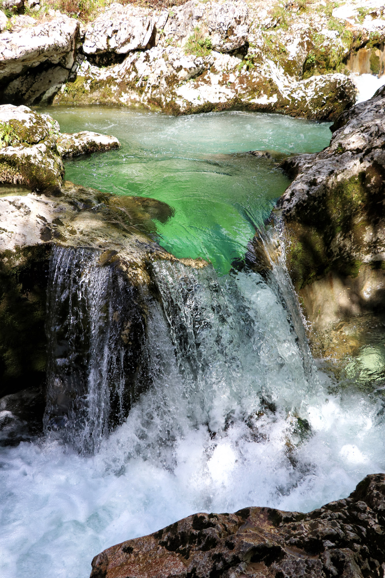 Wandelen in Bohinj, Slovenië