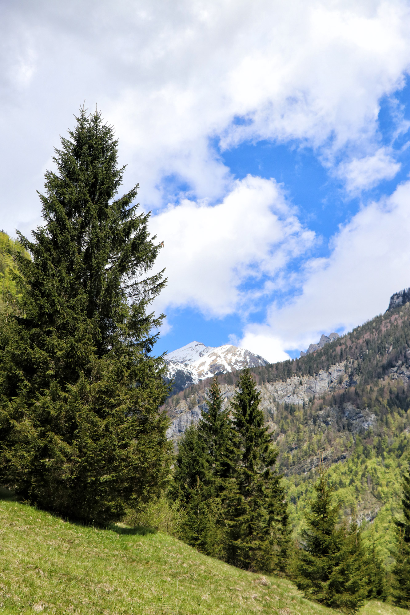 Wandelen in Bohinj, Slovenië