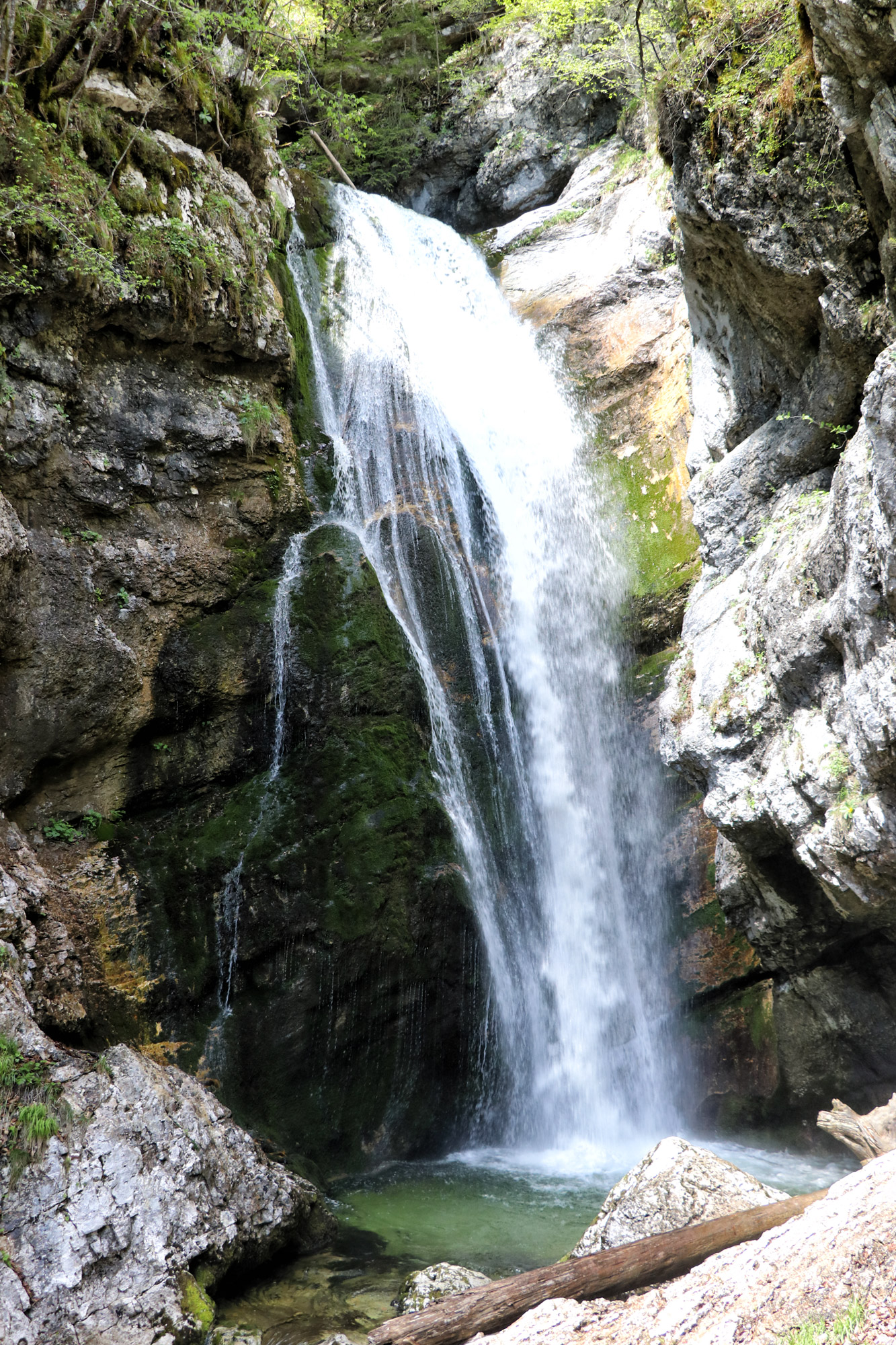 Wandelen in Bohinj, Slovenië