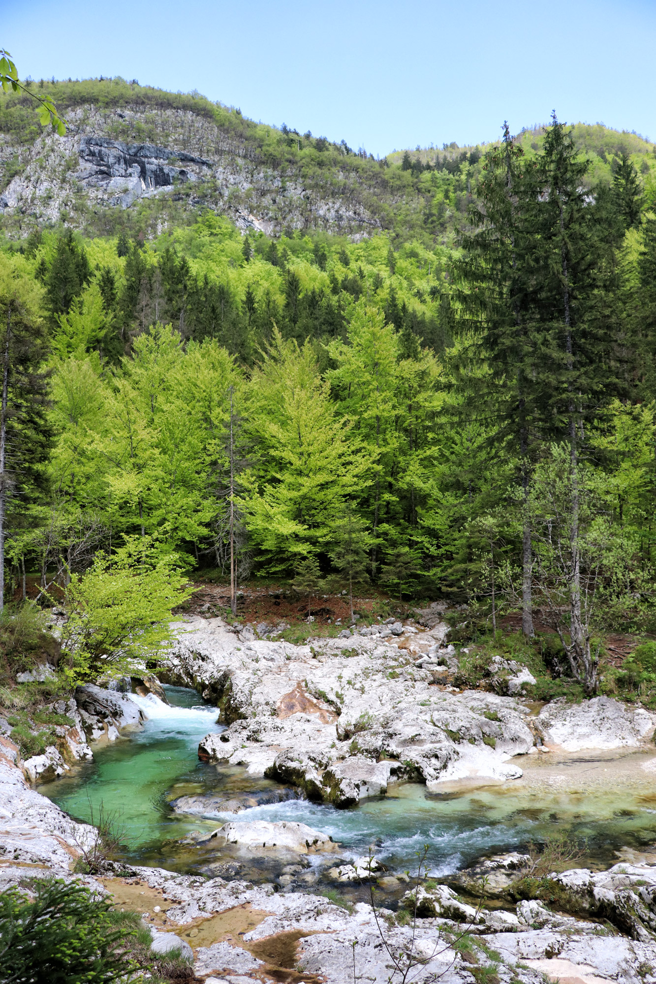 Wandelen in Bohinj, Slovenië